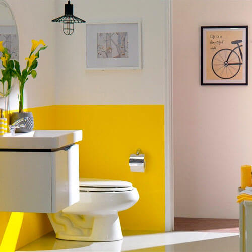 Banheiros com paredes coloridas
